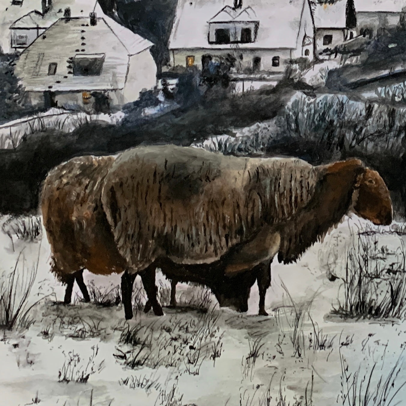 Nature, camera & snowballfights