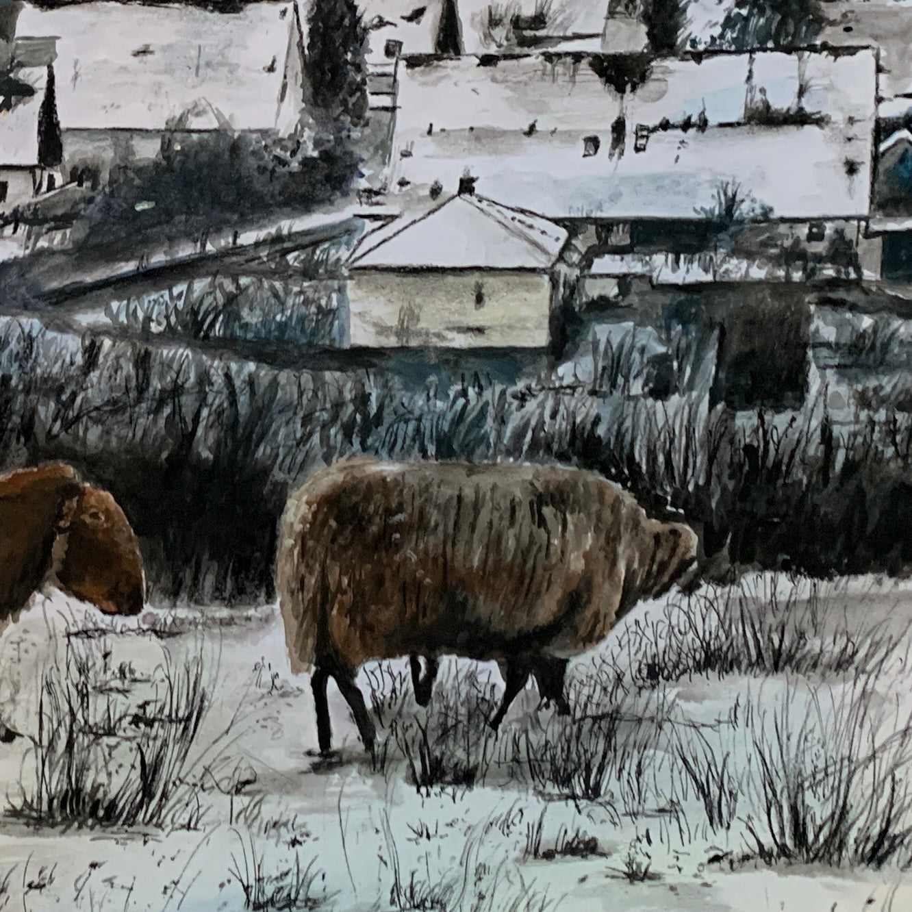 Nature, camera & snowballfights