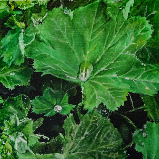 Leaves