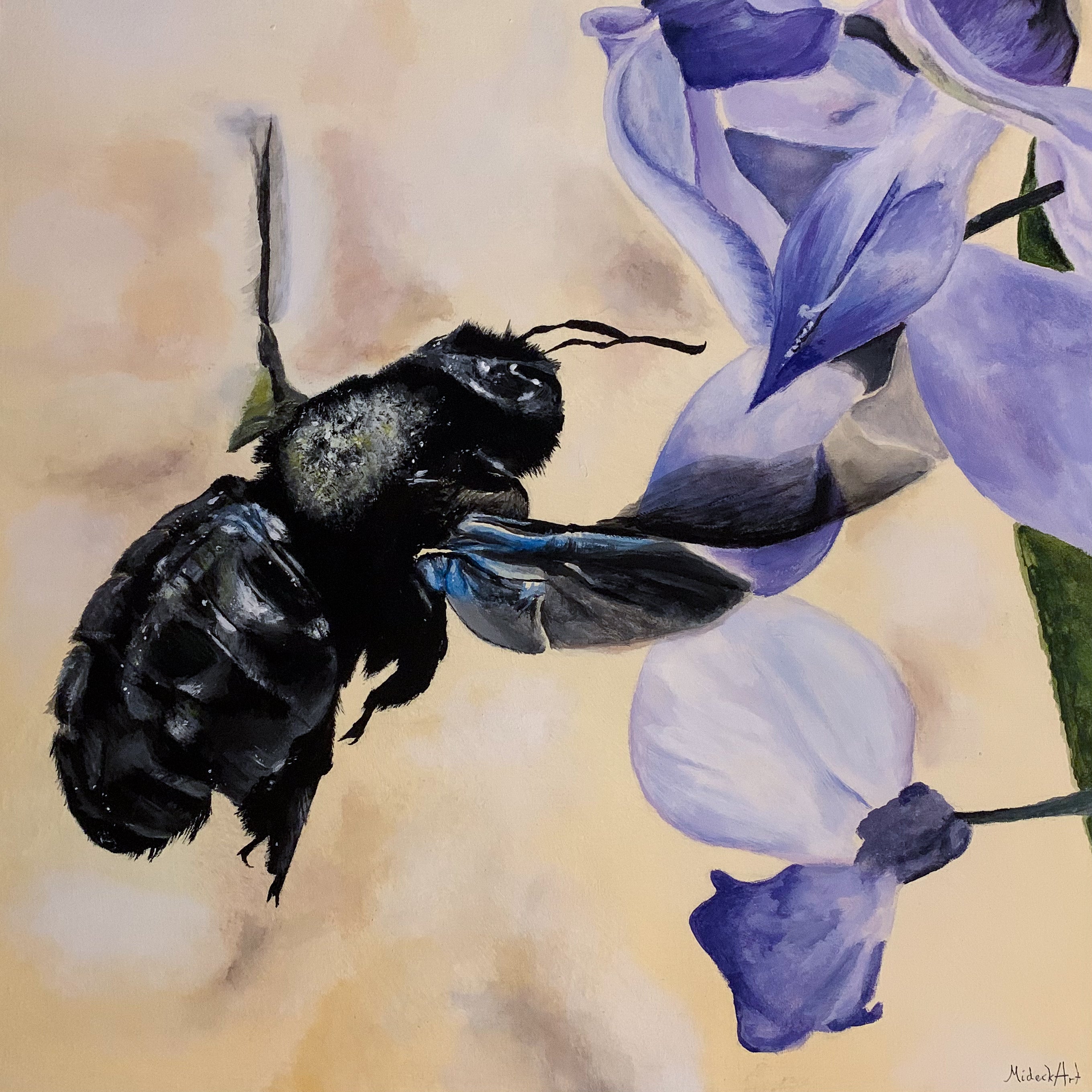Carpenter Bee